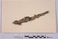 藏品(麗雙歧根梅衣)的圖片